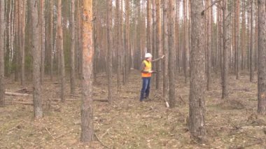 Genç beyaz erkek Forester ormanda hasar ve bir kabuk böceği, orman hijyenik felling için ağaçlar inceler