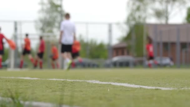 Chłopcy odgrywają profesjonalną piłkę nożną na stadionie, jasny dzień, tło, powolny ruch, przestrzeń kopiowania — Wideo stockowe