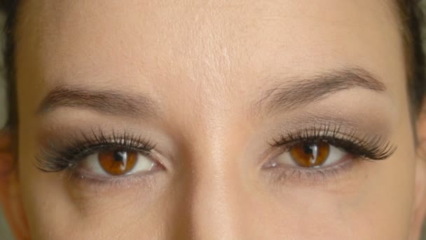 weibliches Gesicht mit langen falschen Wimpern öffnet ihre braunen Augen und blickt in die Kamera. Nahaufnahme hübsches Mädchen Modell mit attraktivem Make-up