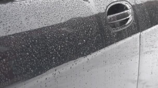 Bu modern bir siyah arabanın kapısında uyur, kış ve sonbaharda kötü hava, kopya alanı — Stok video