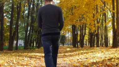 Adam şehir parkında bir ağaç sokak boyunca koşuyor. Sarı akçaağaç yaprakları güneşli bir günde sonbaharda düşer. Mutlu ve memnun adam atlar. Arka plan için güzel doğa