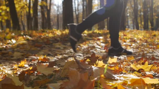 Dia ensolarado, alguém caminha ao longo de um caminho ou trilha na floresta no outono. Em primeiro plano encontram-se as folhas de bordo caídas. Bela natureza para fundo — Vídeo de Stock