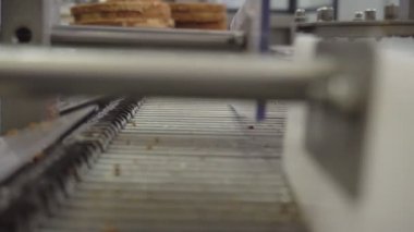 Kek üretimi için hat, otomatik modern şekerleme ekipmanları kullanarak şurubu ile pasta emkraliçiye, sanayi