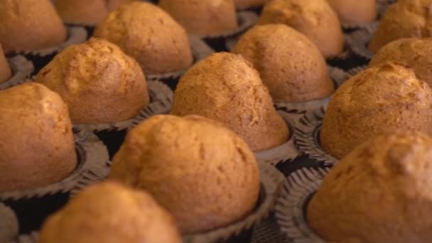 Nybakade muffins i pappersmuggar. Manuell tillverkning av cupcakes. Produktion av mjölkonfektyr. Matlagning söt dessert i bageri verkstad. — Stockvideo
