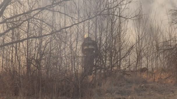 BELARUS - 13 avril 2019 : Les pompiers éteignent le feu et le feu l'herbe sèche et la forêt au printemps dans la nature — Video