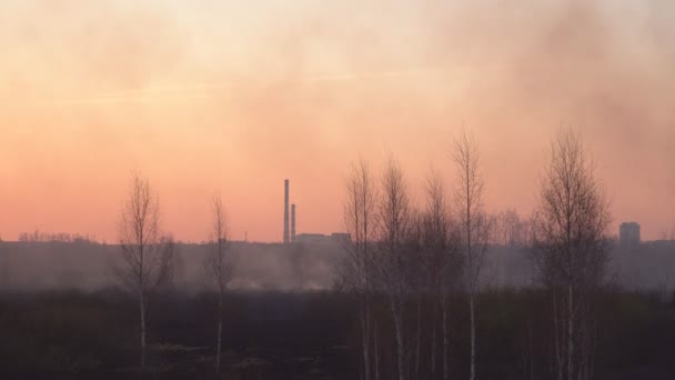 森林火災と乾燥した草、コピースペース、損傷後の街の背景に煙の夕日の赤い太陽 — ストック動画