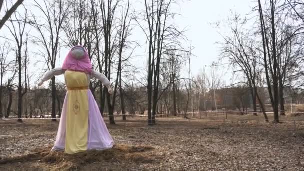 Eine ausgestopfte Fastnacht im hellen Kleid und einem rosafarbenen Halstuch wird während der Feiertage in den Park gestellt. ein Bildnis von maslenitsa steht im Park während des Festes der Butterdame. — Stockvideo