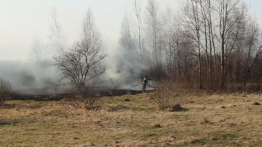 İtfaiyeciler, yangın, bahar, yangın tehlikesi, peyzaj sırasında Kuru Çim ve yanan orman söndürüp