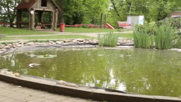 Bel étang ornemental avec un pont dans la nature, aménagement paysager — Video