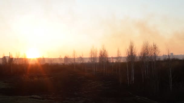 Красное солнце в дыму заката на фоне города после лесного пожара и сухой травы, копировальное место, чрезвычайная ситуация — стоковое видео