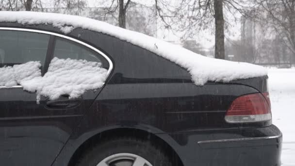 Nieve cae en el coche negro moderno que se encuentra en la calle, invierno — Vídeo de stock