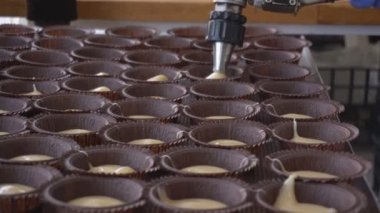 Pişmiş ürünler Muffins manuel imalatı. Fırında pişirme için bir cupcakes hızlı ekmek hazırlanması. Hamur bireysel kağıt kalıpları veya formları içine dökülür. Un şekerleme üretimi