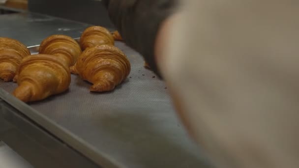 Een banketbakker giet vers gebakken gebakjes met een gouden korst in een dienblad, croissants — Stockvideo