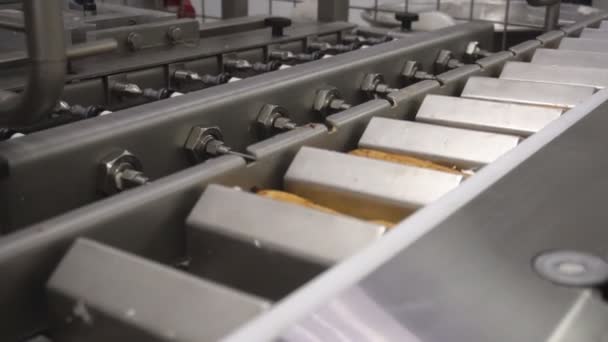 Fabbricazione di dolci eclairs. Riempitrice di crema di baguette dolci. Prodotti da forno. Produzione dolciaria di farina . — Video Stock