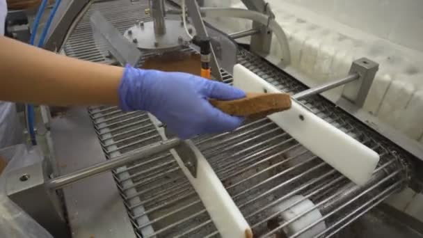 Kex eller sockerkaka är blötläggning med sirap på automatiserad transportör. Manuell tillverkning av sötsaker desserter. Produktion av mjölkonfektyr. Matlagning cakesen i bageri verkstad. — Stockvideo