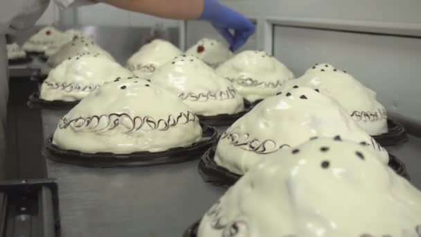 Gekoelde Tortes en taarten decoratie door fruit voor gegarneerd top. Zoetigheden desserts. Handmatige vervaardiging van taarten die zijn gevuld met karamel crème, mousse, jam. Productie van meel zoetwaren. — Stockvideo