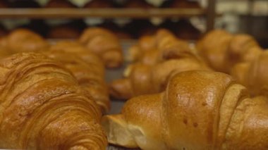Lezzetli ve lezzetli hamur işleri kruvasan bir tepsi üzerinde yalan. Şekerleme üretimi, arka plan, fotokopi alanı, fırın ürünleri, nefis