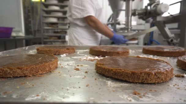 Chef pâtissier applique la crème sur les gâteaux à biscuits en utilisant l'équipement. Fabrication manuelle de desserts sucrés. Production de confiseries à la farine. Confiseur met remplissage sur des gâteaux éponge — Video