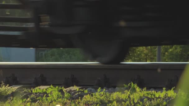 Train rides by rail, train wheels close-up, background — Stock Video