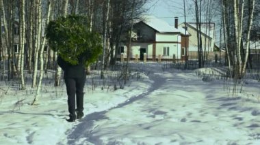Bir adam evi dekore etmek ve Noel tatili için hazırlamak için ormandan bir Noel ağacı eve taşır. Yeni yıl tatilleri, arka plan, yeni yıl toplantısı, yavaş hareket