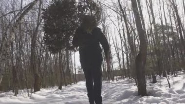 Baltalı adam omzuna düşen Noel ağacını taşıyor. Noel arifesi ve yeni yıl. Adam ormanda karda yürüyor. Kavram tatil ve kutlamaların başlangıcı. Yavaş çekim