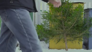 Noel ağacı, kentte yeni yıldan sonra halka açık bir geri dönüşüm kutusunun yanında yer alır. Kutlamanın sonu. Yavaş çekim