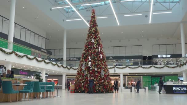 MINSK, BELARUS 12.21.18: Christmas tree is in the mall or shopping center. People buy gifts due to a big discounts and sales and get ready for the new year and Christmas. Holidays and celebrations. — Stock Video