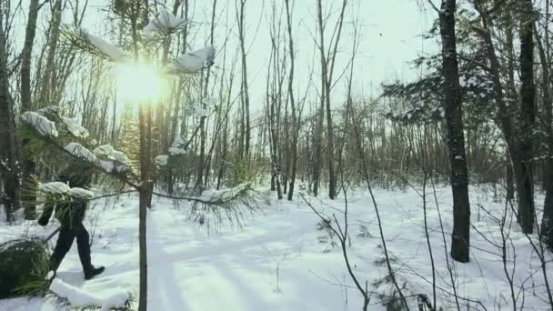 Persona arrastra un árbol de Navidad cortado a su casa y caminar en el bosque en la nieve antes de año nuevo en la ciudad. Concepto de inicio de la celebración. Movimiento lento — Vídeo de stock