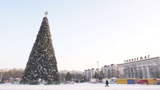 Vacker dekorerad julgran på torget i staden. Juldekoration. Nyår Bobruisk, Vitryssland - 03.01.19 — Stockvideo