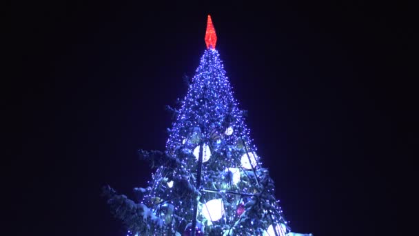 Puncak pohon Natal dihiasi dengan karangan bunga dan lampu menyala di malam hari. Malam tahun baru di kota di musim dingin. Konsep permulaan hari libur dan perayaan. Latar belakang. Tampilan bawah — Stok Video