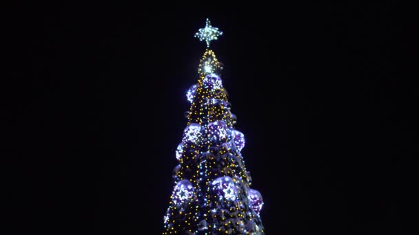 Top van kerstboom versierd met bloemenslingers en lichten gloeit 's nachts. Nieuwjaarsavond in de stad in de winter. Begrip van het begin van feestdagen en vieringen. Achtergrond. Onderaanzicht — Stockvideo