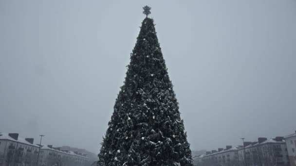 Χριστουγεννιάτικο δέντρο είναι σε χιονόπτωση και χιονοθύελλα το απόγευμα ημέρα. Παραμονή Πρωτοχρονιάς στην πόλη. Χειμώνας. Έννοια της έναρξης των διακοπών και των εορτασμών σε χιονοθύελλα ή ανεμοθύελλα. Κακός καιρός σε αργή κίνηση — Αρχείο Βίντεο