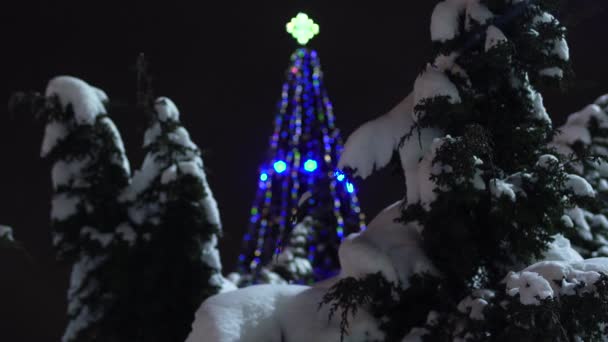 Árvore de Natal decorada com guirlandas e luzes brilha à noite no inverno. Concentre-se em primeiro plano. Véspera de Ano Novo na cidade. Conceito de início de férias e celebrações. Vista devido a árvores nevadas — Vídeo de Stock