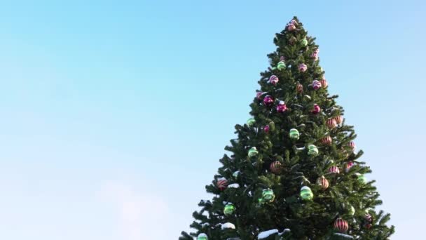 Верхняя часть рождественской елки украшена шарами и игрушками. Новый год в городе. Концепция начала праздников и торжеств. Фон для копировального пространства и место для текста. Нижний вид — стоковое видео