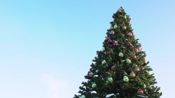 Cima dell'albero di Natale decorato con decorazioni palle e giocattoli. Capodanno in citta '. Concetto di inizio di vacanze e celebrazioni. Sfondo per spazio di copia posto formica testo. Vista dal basso — Video Stock