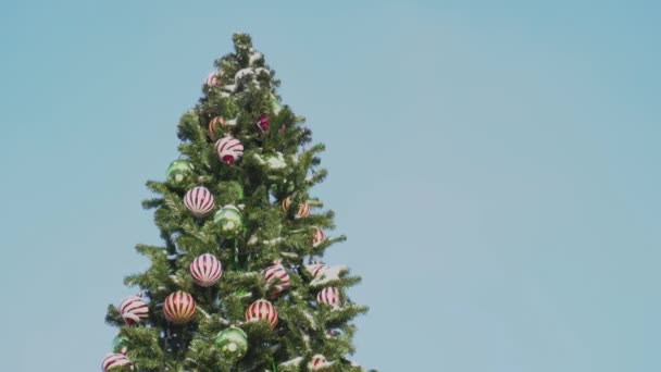 Top van kerstboom versierd met decoraties ballen. Oudejaarsavond in de stad. Begrip van het begin van feestdagen en vieringen. Achtergrond voor kopieerruimte mier tekst plaats. Onderaanzicht — Stockvideo