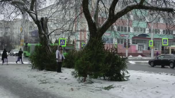 Mercato del bazar della città per la vendita di alberi di Natale per il nuovo anno a BOBRUISK, BELARUS 12.30.18. La gente guarda, sceglie e compra un abete vivo naturale nel centro della città. Feste e celebrazioni — Video Stock