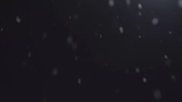4k kışında gece karanlığında kar yağar. Ekran örtüsü ve harmanlama modu görüntü kullanımı için. Kar Fırtınası