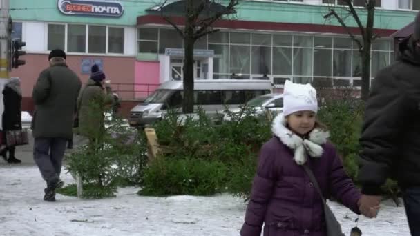 Městský bazar na prodej vánočních stromků na Nový rok v BOBRUISK, BELARUS 12.30.18. Lidé se dívají, vybírají a kupují přírodní jedle v centru města. Dovolená a oslavy — Stock video