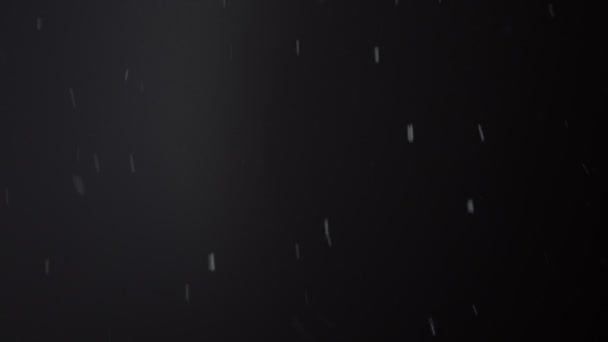 Nieve cae sobre fondo negro en la noche invierno 4K. Para la superposición de pantalla y el uso de metraje de modo de mezcla. Blizzard — Vídeos de Stock