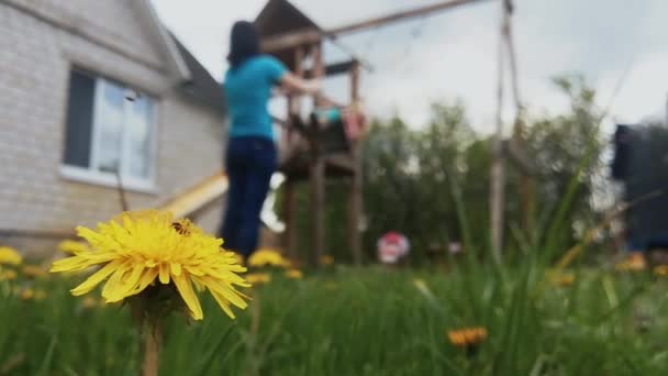 Młoda matka toczy swoje dziecko na huśtawce na dziedzińcu domu w tle. Szczęśliwa rodzina odpoczywająca na wakacjach Koncepcja dzieciństwa. Rodzic bawi się z dzieckiem. Strzelanina ręczna. Kwiat mniszka lekarskiego na pierwszym planie — Wideo stockowe