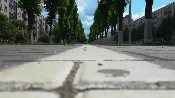 Baumallee und Markierung des Radweges auf dem Bürgersteig in der Stadt im Sommer tagsüber. Stadtleben. Tiefflug-Aufnahmen von unten — Stockvideo