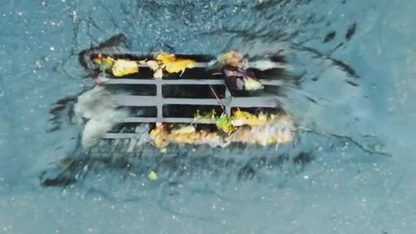 El agua de la carretera drena en el colector de alcantarillado de drenaje de tormenta con rejilla durante la lluvia. Canal principal de la red de drenaje. Clima lluvioso en la ciudad. Condiciones malas y peligrosas para el tráfico — Vídeo de stock