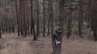 Kamuflaj kıyafeti giymiş avcı orman bekçisi ağaçtan atladı. Garip adamın kafası karışmış. Komik, komik komik bir durum. LSD narkotik etkisi, psikolojik bozukluk konsepti. Psikedelik deli