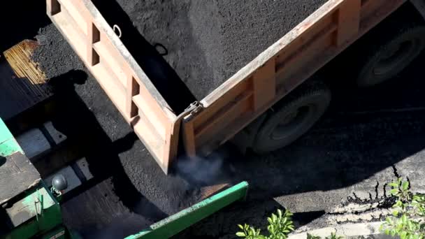 Un camión volquete de carga vierte la mezcla de hormigón asfaltado en una tolva pavimentadora para la reparación de carreteras, la industria. Equipo especial de carretera, trabajo — Vídeo de stock