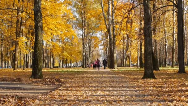 Дети прогуливаются по осенней аллее золотых листьев в парке, фон, замедленное движение — стоковое видео