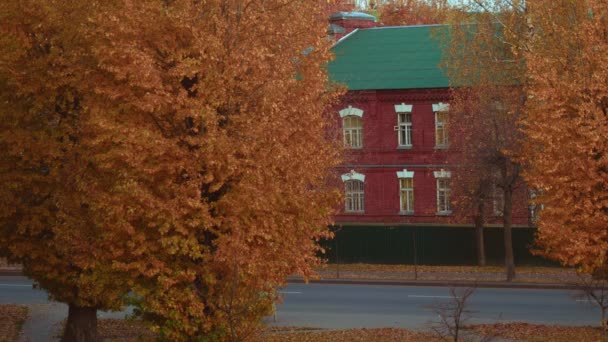 风景。秋天的城市。橘红色的秋天树汽车在路上行驶.老红砖建筑室外。夏末的概念。美丽的大自然小城镇 — 图库视频影像