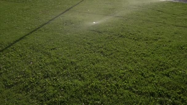 Riego césped hierba en verano contra la sequía, fondo. Tecnología moderna, paisaje — Vídeos de Stock