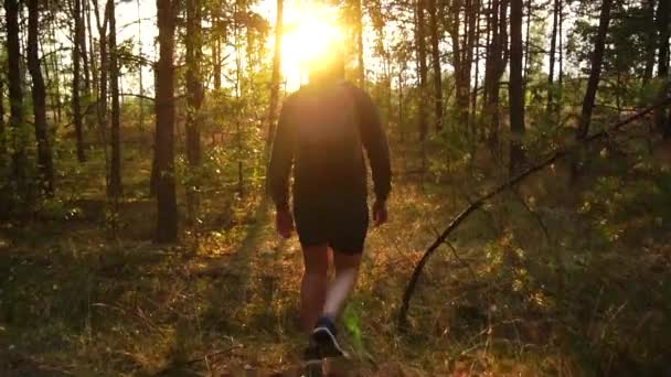Чоловік в шортах з рюкзаком і капюшоном проходить через ліс на тлі вечірнього заходу сонця, повільний рух, турист — стокове відео