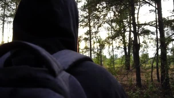 Mężczyzna w kapturze z plecakiem stoi i patrzy na zachód słońca w lesie. Widok z tyłu, turystyka i camping, podróże, slow mo — Wideo stockowe